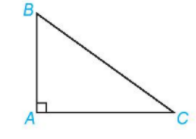Cho hai câu sau: P: Tam giác ABC là tam giác vuông tại A (ảnh 1)