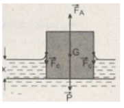  Một mẩu gỗ hình lập phương có khối lượng 20 g được đặt nổi trên mặt nước (ảnh 1)