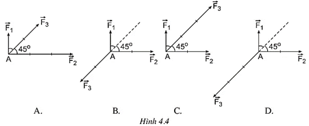 Hình nào trong hình 4.4 biểu diễn đúng các lực: véc tơ F1 có: điểm đặt A; phương thẳng đứng (ảnh 1)