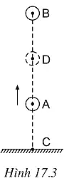 Từ điểm A, một vật được ném lên theo phương thẳng đứng. Vật lên đến vị trí cao nhất (ảnh 1)