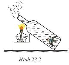 Thả một con cá nhỏ vào một cái chai rồi dùng đèn cồn đun nước ở miệng chai (ảnh 1)