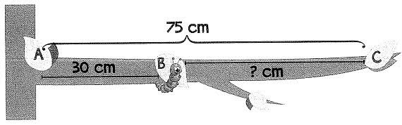 Bài tập cuối tuần Toán lớp 1 (Kết nối tri thức) Tuần 29 có đáp án (ảnh 1)