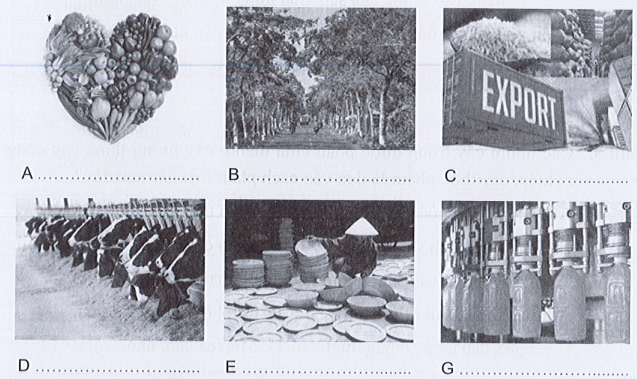 Sách bài tập Công nghệ 7 Bài 1: Giới thiệu chung về trồng trọt - Cánh diều (ảnh 1)