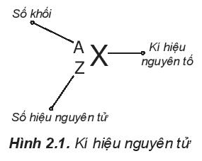 Giải Hóa 10 Bài 2: Nguyên tố hóa học - Kết nối tri thức (ảnh 1)