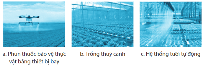 Sách bài tập Công nghệ 7 Bài 2: Các phương thức trồng trọt ở Việt Nam - Chân trời sáng tạo (ảnh 1)