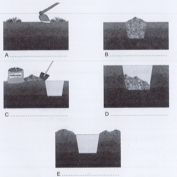 Sách bài tập Công nghệ 7 Bài 5: Trồng cây rừng - Cánh diều (ảnh 1)