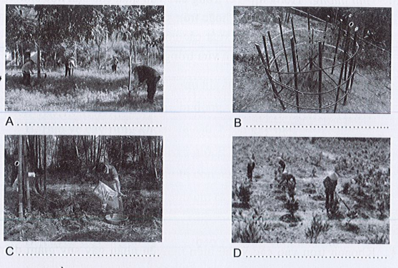 Sách bài tập Công nghệ 7 Bài 6: Chăm sóc cây rừng sau khi trồng - Cánh diều (ảnh 1)