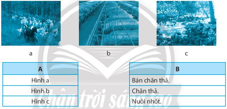 Sách bài tập Công nghệ 7 Bài 9: Một số phương thức chăn nuôi ở Việt Nam - Chân trời sáng tạo (ảnh 1)