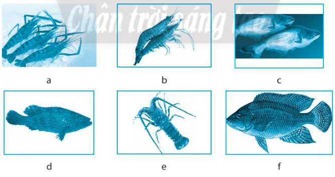 Sách bài tập Công nghệ 7 Bài 12: Ngành thủy sản ở Việt Nam - Chân trời sáng tạo (ảnh 1)