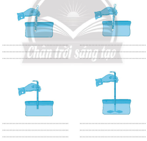 Sách bài tập Công nghệ 7 Bài 13: Quy trình kĩ thuật nuôi thủy sản - Chân trời sáng tạo (ảnh 1)