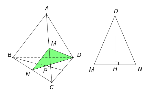 Trắc nghiệm Đại cương về đường thẳng và mặt phẳng có đáp án  – Toán lớp 11 (ảnh 25)