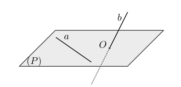 Trắc nghiệm Hai đường thẳng chéo nhau và hai đường thẳng song song có đáp án – Toán lớp 11 (ảnh 8)