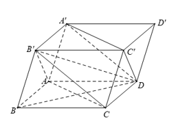 Trắc nghiệm Hai đường thẳng vuông góc có đáp án – Toán lớp 11 (ảnh 3)