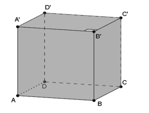 Trắc nghiệm Đường thẳng vuông góc với mặt phẳng có đáp án – Toán lớp 11 (ảnh 2)
