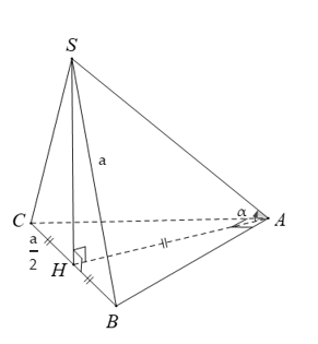 Trắc nghiệm Đường thẳng vuông góc với mặt phẳng có đáp án – Toán lớp 11 (ảnh 8)