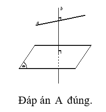 Trắc nghiệm Hai mặt phẳng vuông góc có đáp án – Toán lớp 11 (ảnh 4)
