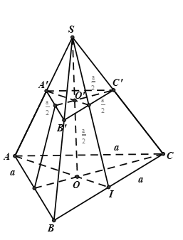 Trắc nghiệm Hai mặt phẳng vuông góc có đáp án – Toán lớp 11 (ảnh 9)