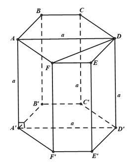 Trắc nghiệm Hai mặt phẳng vuông góc có đáp án – Toán lớp 11 (ảnh 11)
