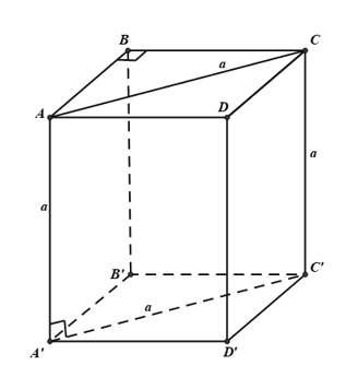 Trắc nghiệm Hai mặt phẳng vuông góc có đáp án – Toán lớp 11 (ảnh 12)