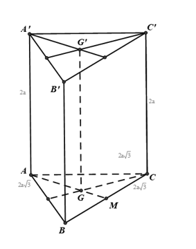 Trắc nghiệm Hai mặt phẳng vuông góc có đáp án – Toán lớp 11 (ảnh 13)