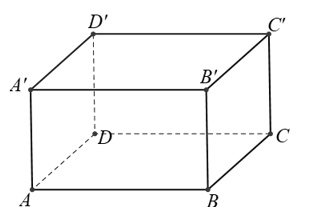 Trắc nghiệm Hai mặt phẳng vuông góc có đáp án – Toán lớp 11 (ảnh 15)