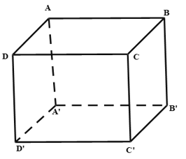 Trắc nghiệm Hai mặt phẳng vuông góc có đáp án – Toán lớp 11 (ảnh 17)