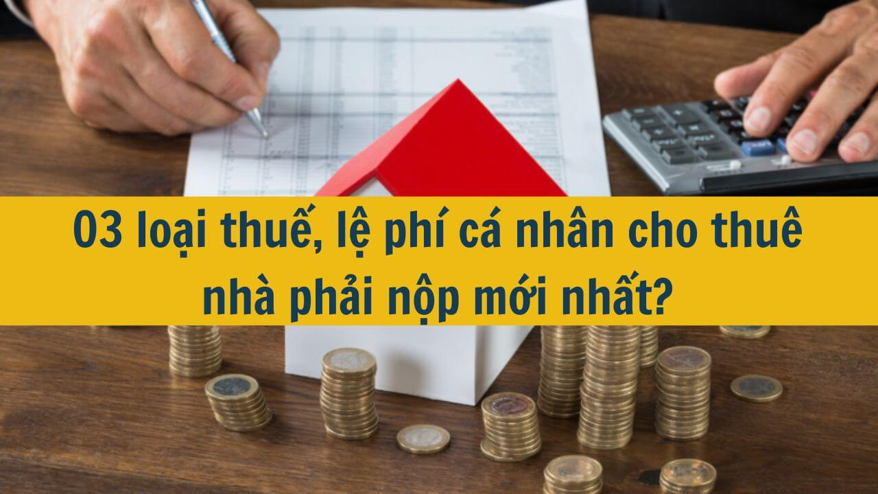 03 loại thuế, lệ phí cá nhân cho thuê nhà phải nộp mới nhất 2025?