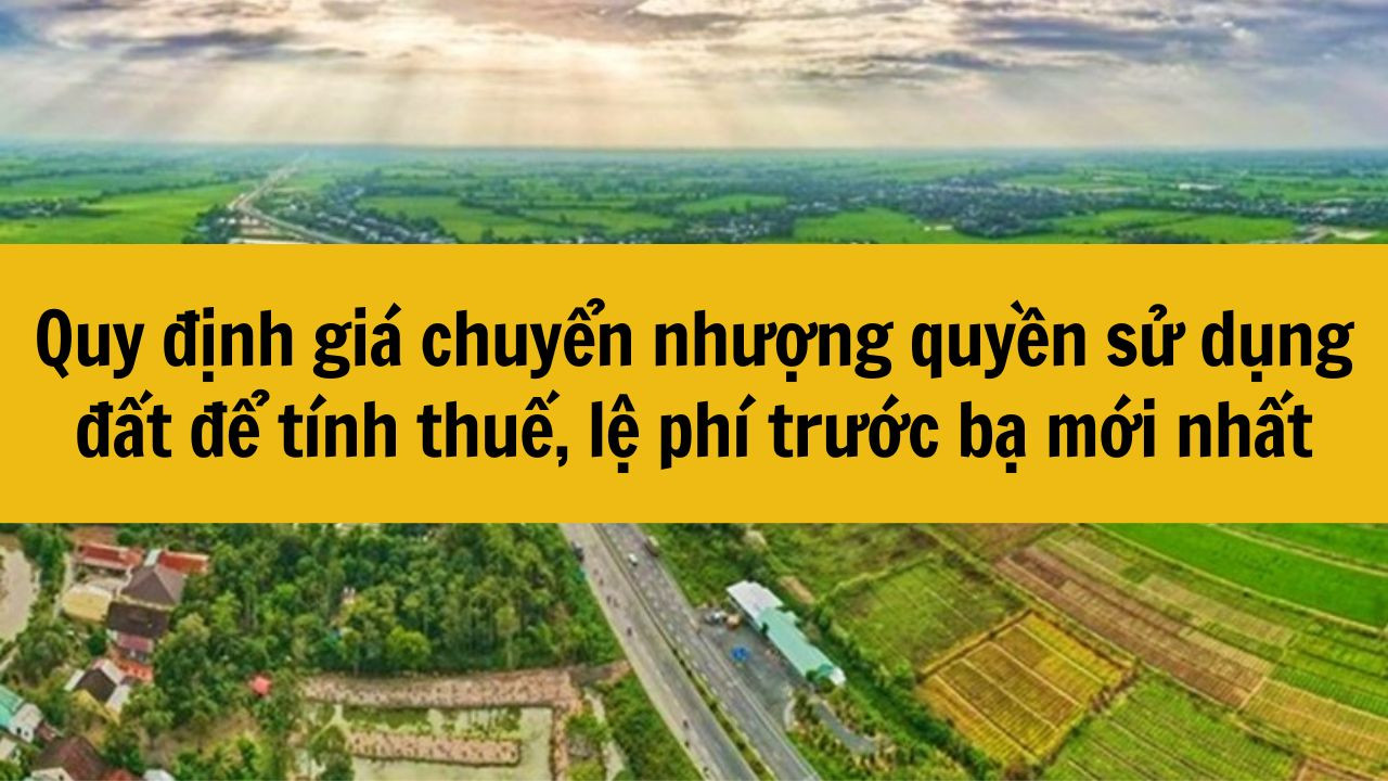 Quy định giá chuyển nhượng quyền sử dụng đất để tính thuế, lệ phí trước bạ mới nhất 2025