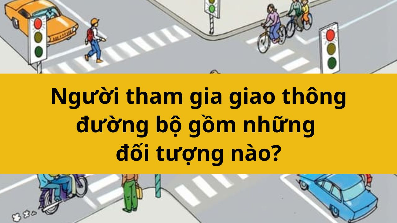 Người tham gia giao thông đường bộ gồm những đối tượng nào?