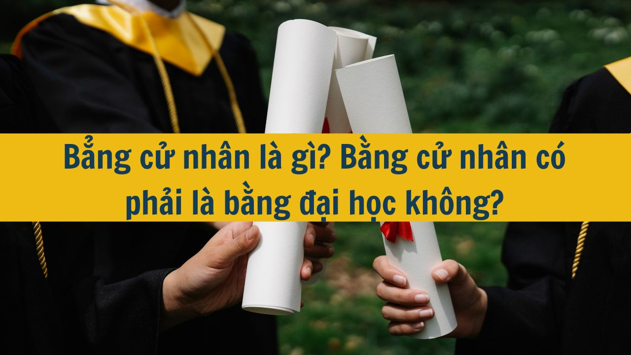 Bẳng cử nhân là gì? Bằng cử nhân có phải là bằng đại học không?
