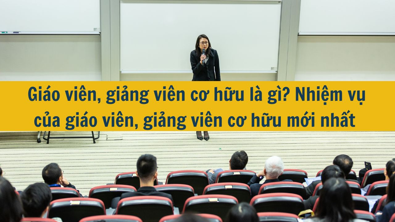 Giáo viên, giảng viên cơ hữu là gì? Nhiệm vụ của giáo viên, giảng viên cơ hữu mới nhất 2025