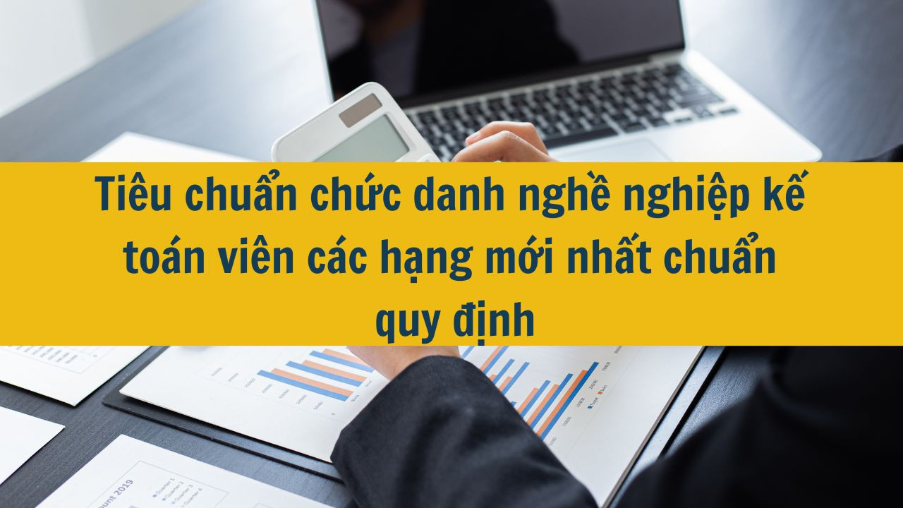 Tiêu chuẩn chức danh nghề nghiệp kế toán viên các hạng mới nhất 2025 chuẩn quy định