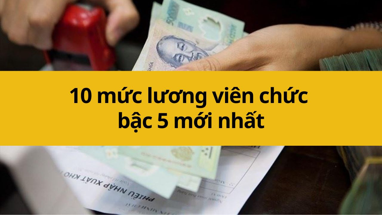 10 mức lương viên chức bậc 5 mới nhất 2025