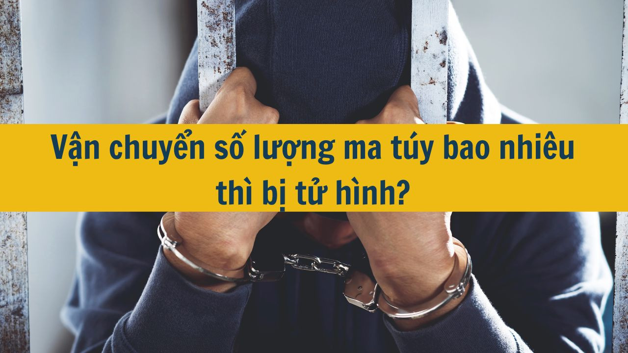 Vận chuyển số lượng ma túy bao nhiêu thì bị tử hình?