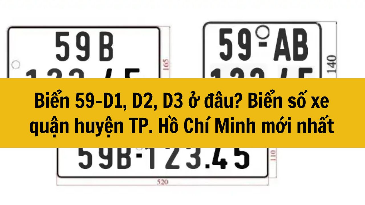 Biển 59-D1, D2, D3 ở đâu? Biển số xe quận huyện TP. Hồ Chí Minh mới nhất 2025