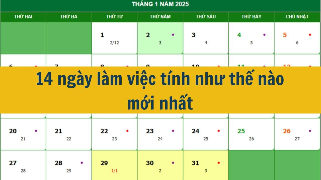 14 ngày làm việc tính như thế nào mới nhất 2025