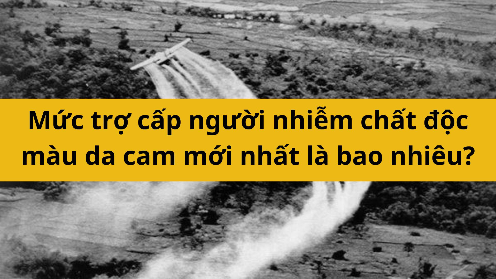 Mức trợ cấp người nhiễm chất độc màu da cam mới nhất 2025 là bao nhiêu?