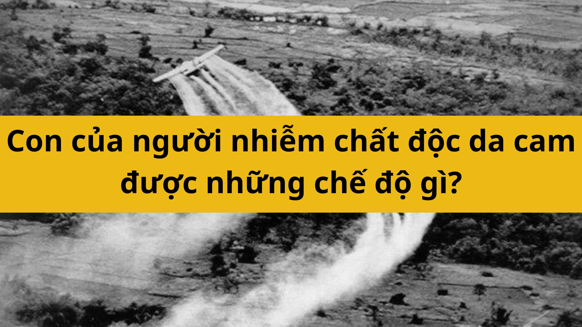 Con của người nhiễm chất độc màu da cam được hưởng những chế độ gì?