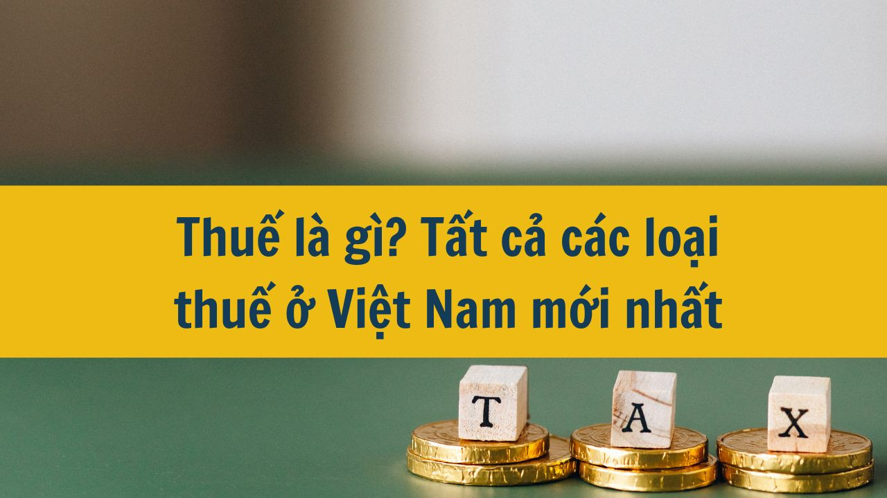 Thuế là gì? Tất cả các loại thuế ở Việt Nam mới nhất 2025