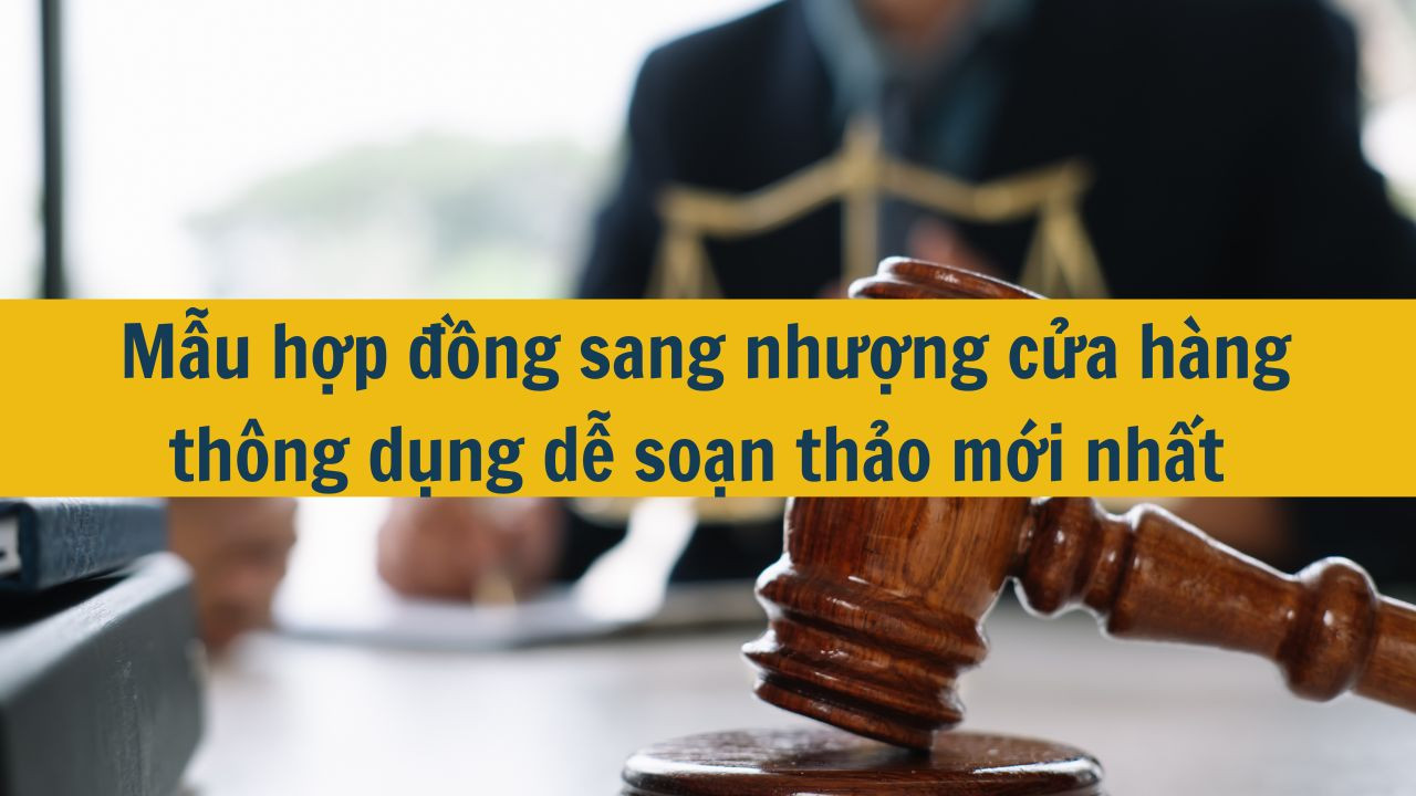 Mẫu hợp đồng sang nhượng cửa hàng thông dụng dễ soạn thảo mới nhất 2025