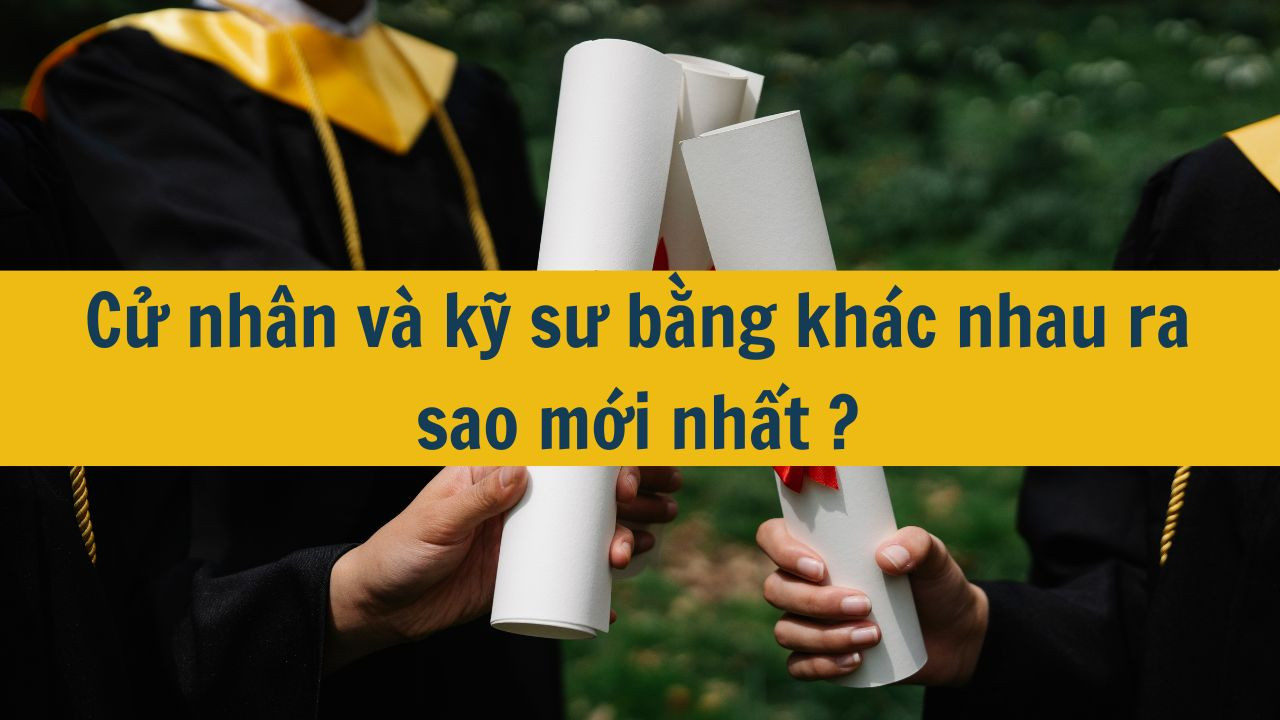Cử nhân và kỹ sư bằng khác nhau ra sao mới nhất 2025?