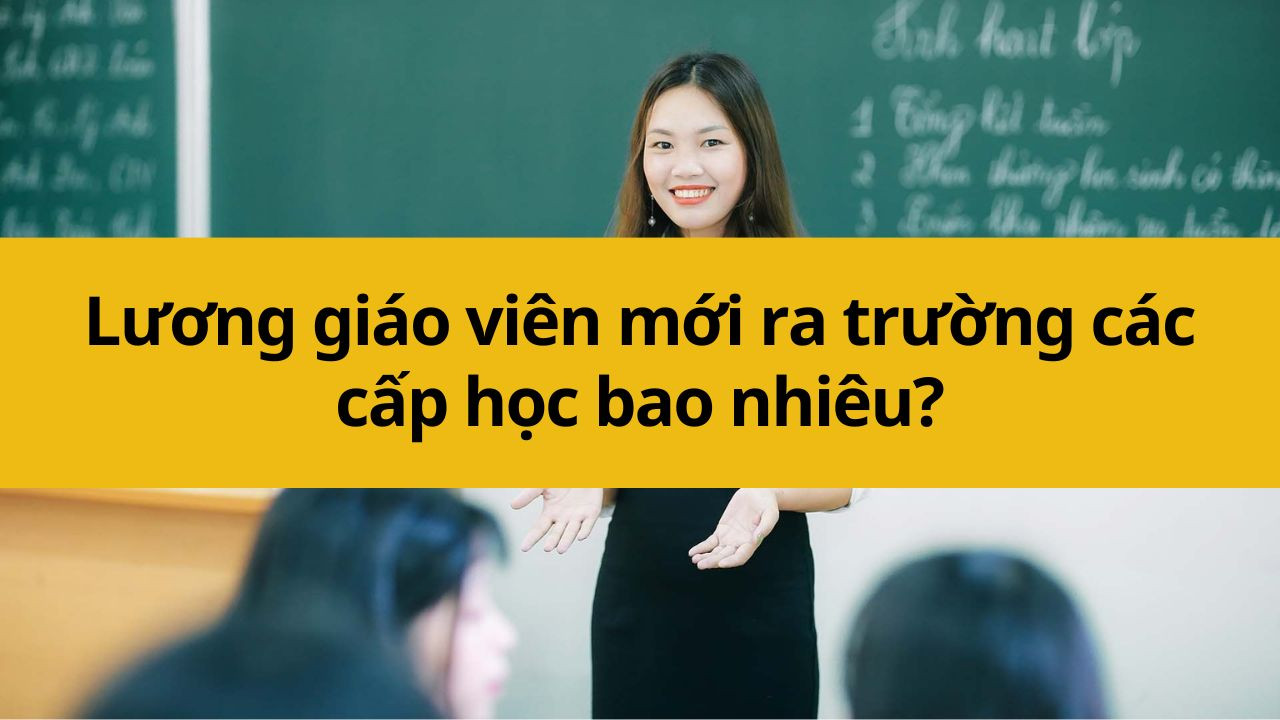 Lương giáo viên mới ra trường các cấp học mới nhất 2025 bao nhiêu?