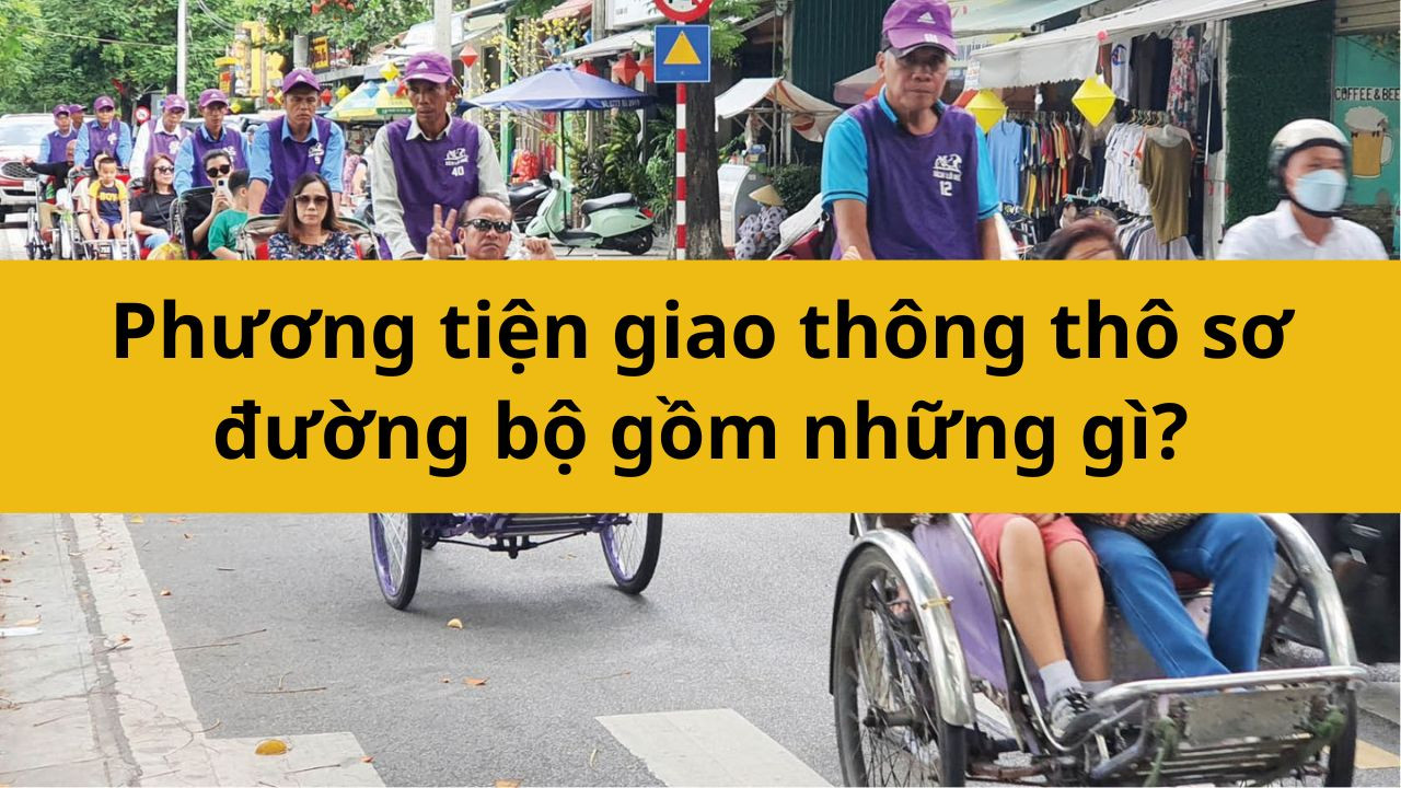 Phương tiện giao thông thô sơ đường bộ gồm những gì mới nhất 2025?