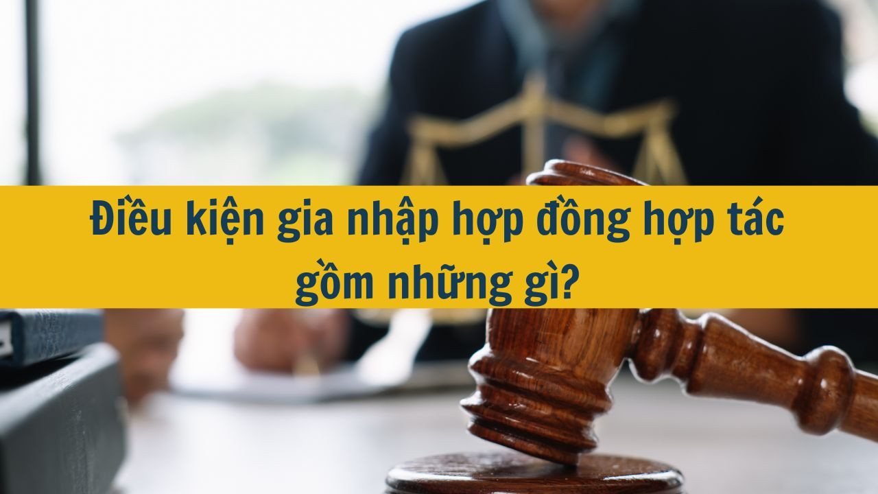 Điều kiện gia nhập hợp đồng hợp tác gồm những gì?