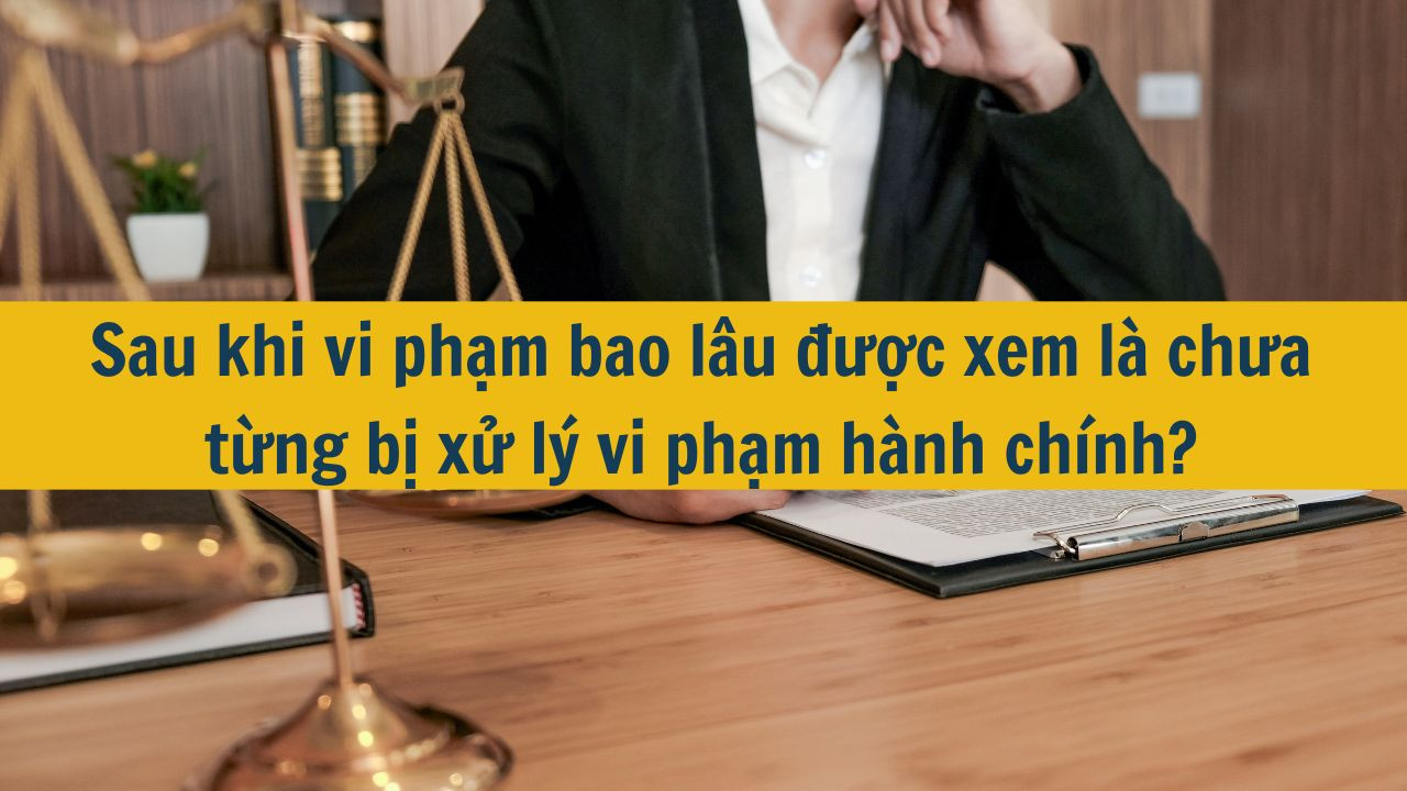 Sau khi vi phạm bao lâu được xem là chưa từng bị xử lý vi phạm hành chính?
