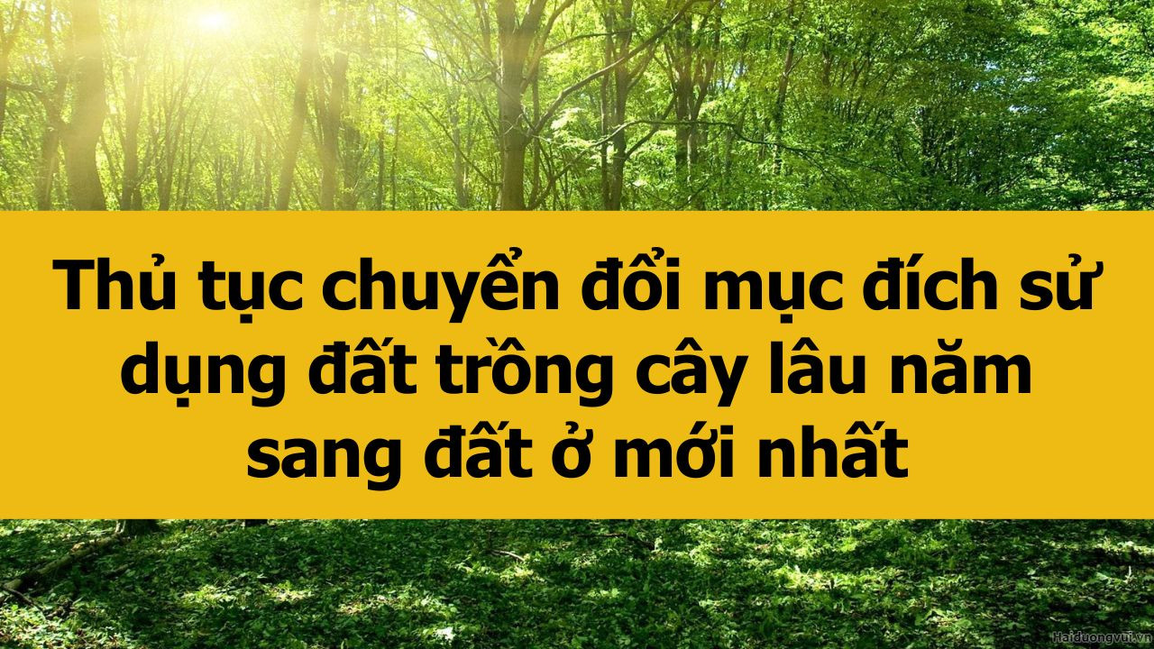 Thủ tục chuyển đổi mục đích sử dụng đất trồng cây lâu năm sang đất ở mới nhất 2025