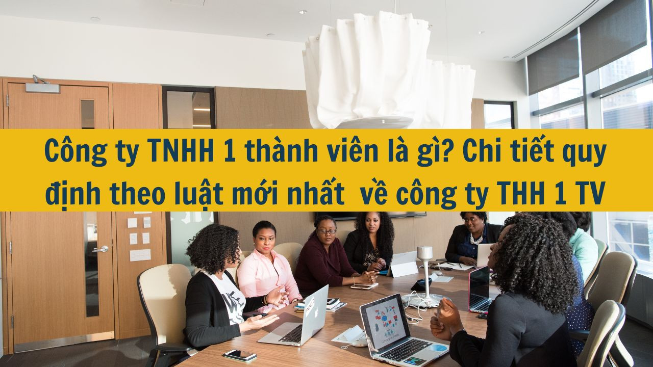 Công ty TNHH 1 thành viên là gì? Chi tiết quy định theo luật mới nhất 2025 về công ty THH 1 TV