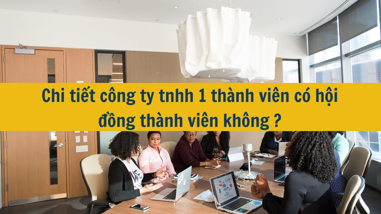 Chi tiết Công ty TNHH 1 thành viên có hội đồng thành viên không?