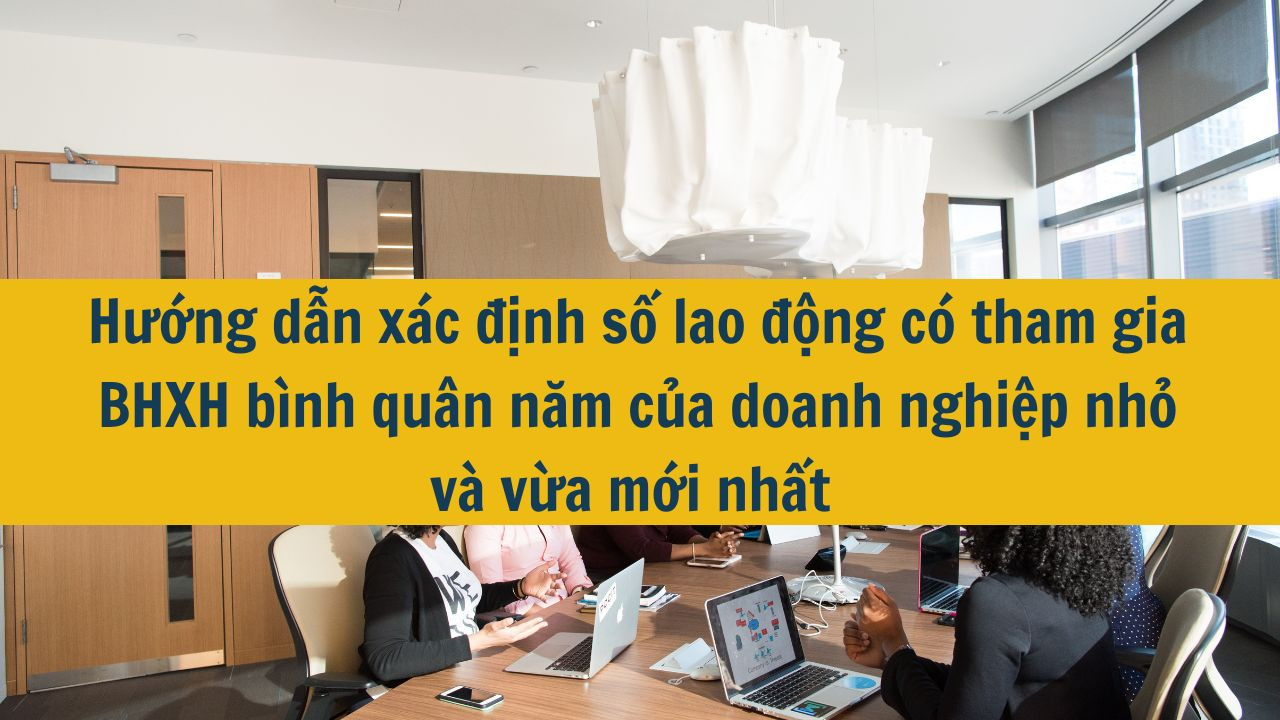 Hướng dẫn xác định số lao động có tham gia BHXH bình quân năm của doanh nghiệp nhỏ và vừa mới nhất 2025