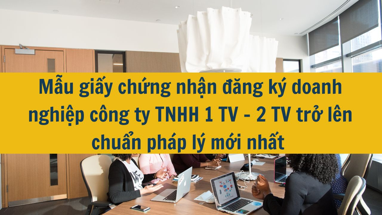 Mẫu giấy chứng nhận đăng ký doanh nghiệp công ty TNHH 1 TV - 2 TV trở lên chuẩn pháp lý mới nhất 2025